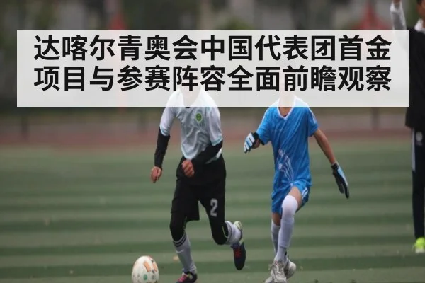 达喀尔青奥会中国代表团首金项目与参赛阵容全面前瞻观察